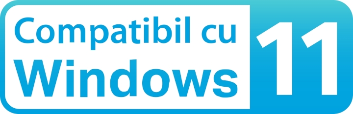 Windows 11